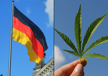 alemanha's próximo governo pretende legalizar a cannabis recreativa
