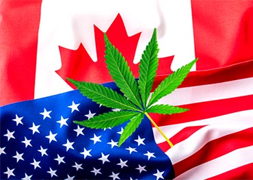 2022 ano novo, novos regulamentos atualizados sobre a indústria de cannabis nos EUA e no Canadá
