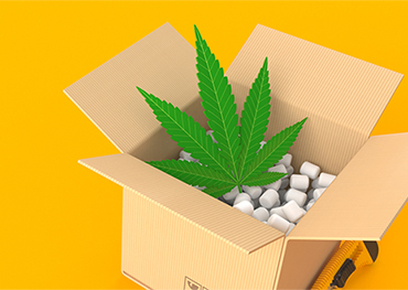 Espera-se que a indústria de embalagens de cannabis alcance valor de mercado em torno de US $ 20,41 bilhões até 2025