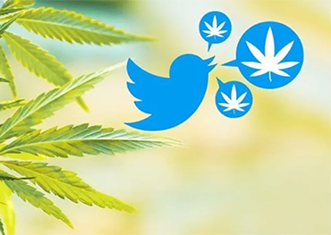 Twitter vai permitir publicidade de maconha