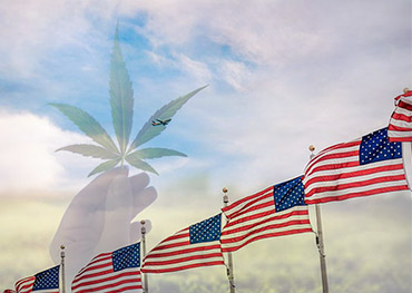  Marijuana420packaging 2021 4 de <br> Não Perca!Fim de semana de julho para Beat 420 vendas de ervas daninhas