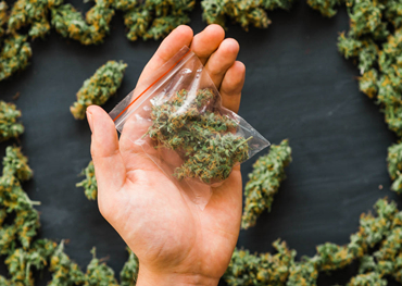 Relatório Global de Mercado de Embalagem de Cannabis 2021