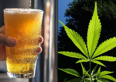 O consumo de cerveja canadense está sendo gradualmente substituído pela cannabis, e o mercado de cigarros dos EUA foi ultrapassado pela cannabis