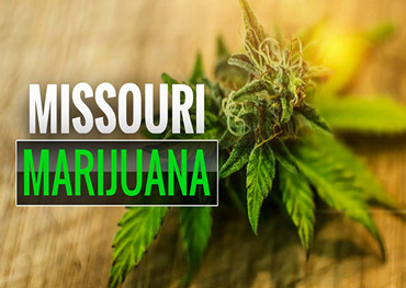 Reguladores de cannabis do Missouri detalham planos para licenciar microempresas