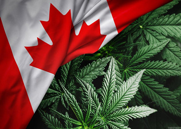 mercado canadense cannabis.