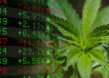 Cannabis Embalagem Americana Cannabis Estoques Estendido Big 2020 ganhos subindo 23% Em janeiro 2021 