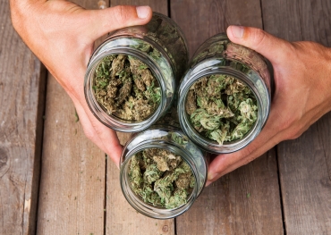 Oportunidades para os varejistas de cannabis aumentarem o ROI investindo em embalagens